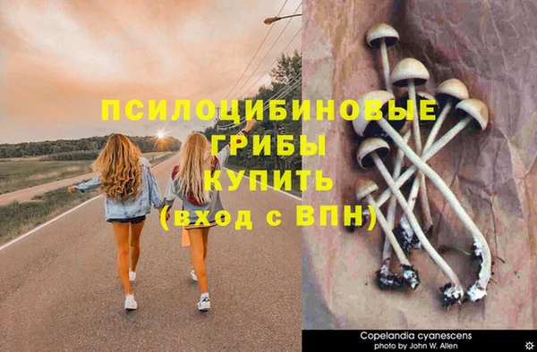 СК Алексин