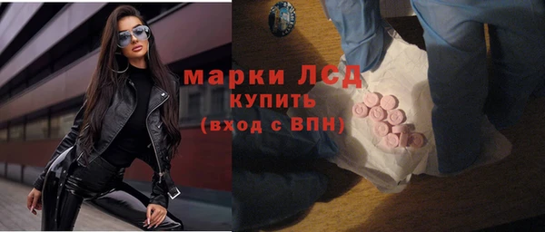 СК Алексин