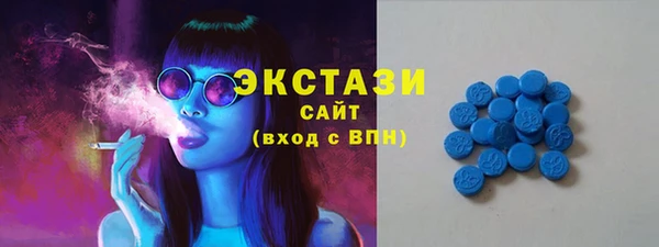 СК Алексин