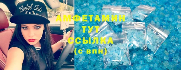 СК Алексин
